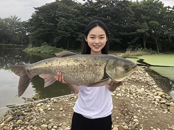 怎么钓鲢鳙？钓鲢鳙的秘籍：从新手到高手的进阶之路