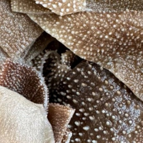 微醺好物之潮夫道冷藏黑毛肚净重2斤 川渝火锅食材麻辣烫牛毛肚