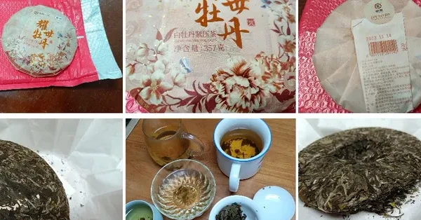 我与中茶蝴蝶耀世牡丹白茶饼的相处笔记，一饼藏着竹叶的时光礼物