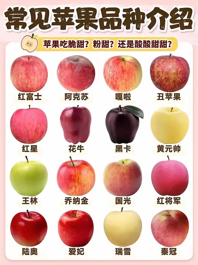 常见苹果大集合！你吃过几种？