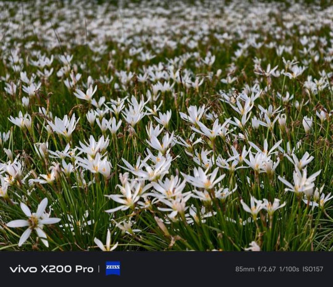 全能旗舰稳了?vivo X200 Pro半月深度测评:天玑9400+2亿长焦的真香警告!