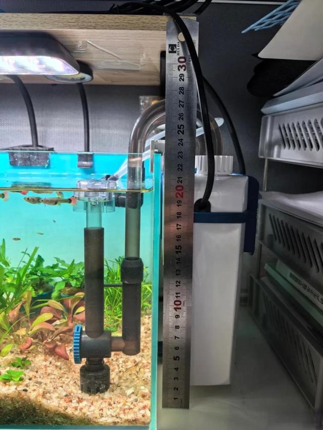 新手养鱼必看!鱼缸过滤系统避坑指南,选对滤材水质稳如老司机
