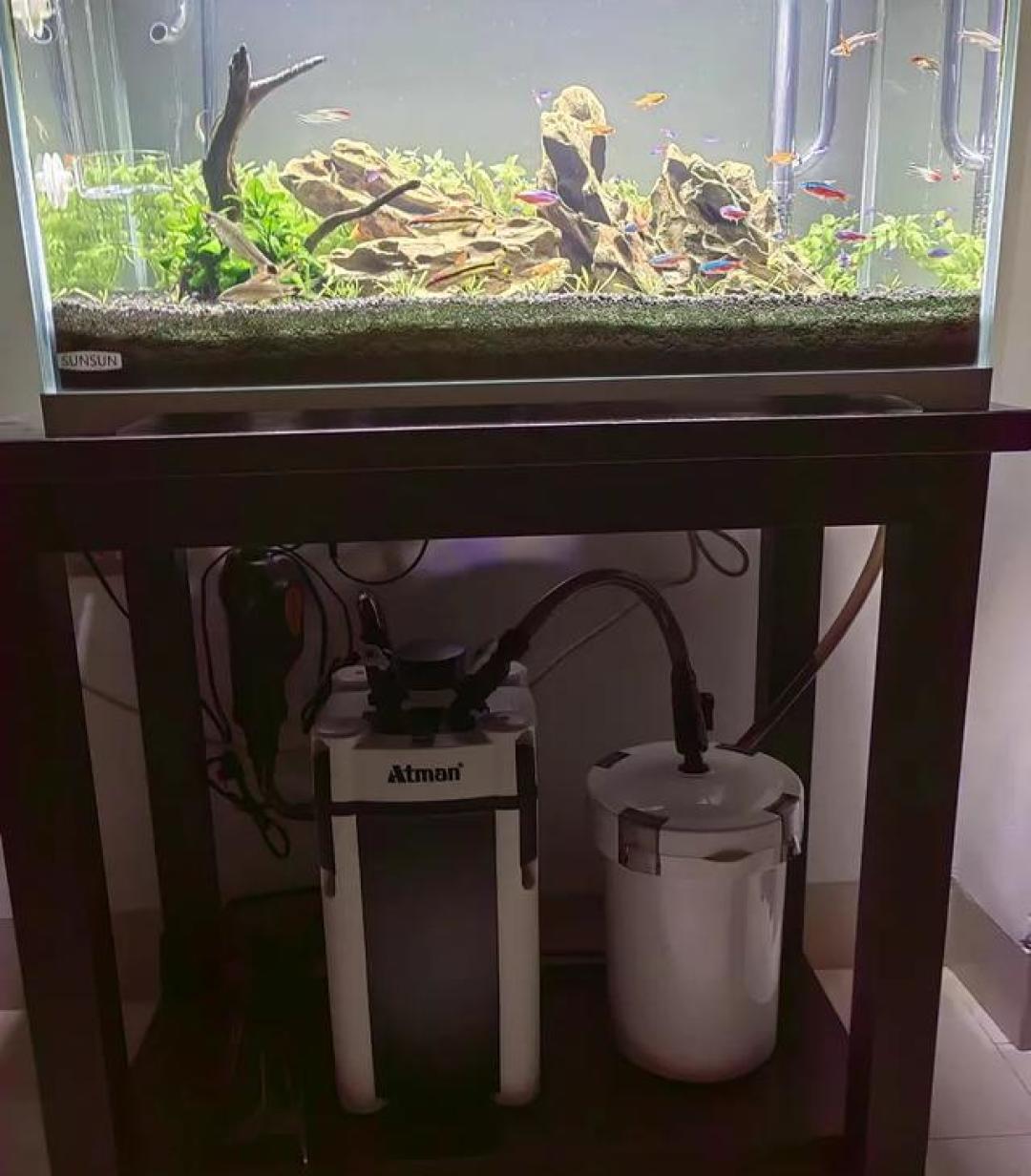 新手养鱼必看!鱼缸过滤系统避坑指南,选对滤材水质稳如老司机