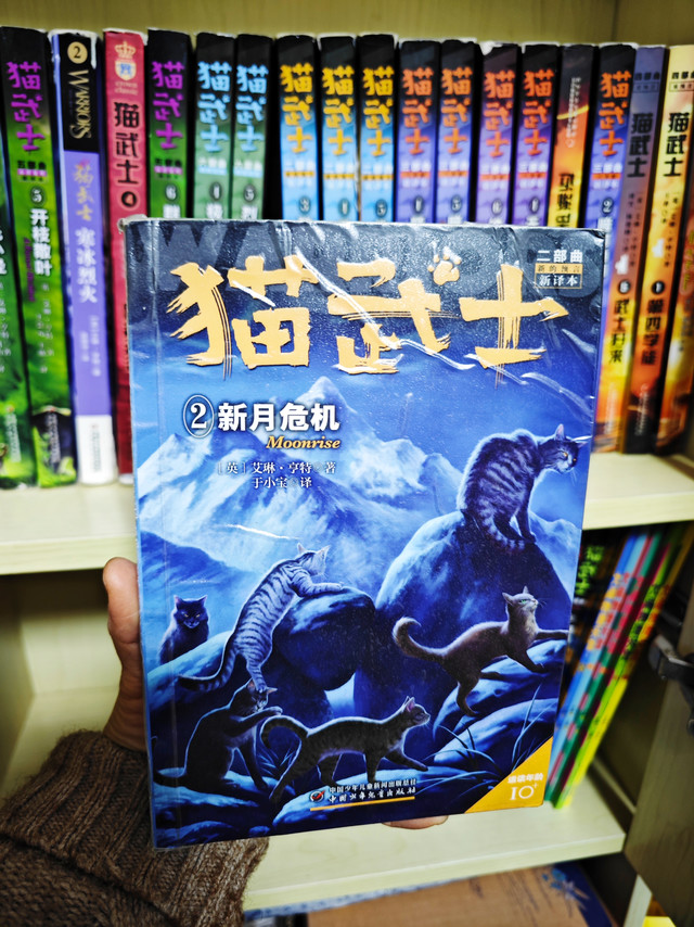 《猫武士》到底有什么魔力?我娃抱着这书啃了俩月厕所都不撒手!