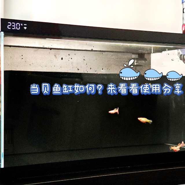 当贝智能鱼缸使用体验：美观方便，功能强大