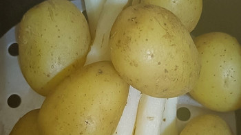 潜力作者激励计划，美味云南小土豆