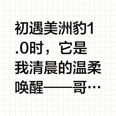 明谦美洲豹 |一杯焦糖与时光的对话 🌿