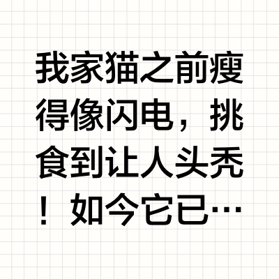 坦克小希vs麦富迪！深度测评长肉猫粮