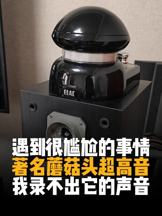 真尴尬，著名德国超高音加持，现场听感明显，我却录不到它的声音 这个是德国意力著名的蘑菇头超高音，朋友的，现场听下来，这个超高音的确是好东西，加上后，声音细节丰富很多！不过视频中的对比试听，我们根本听不