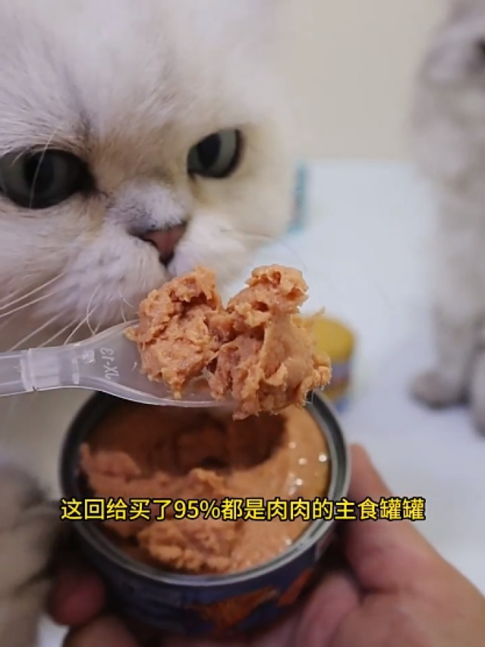 麦富迪猫咪零食罐/妙鲜包