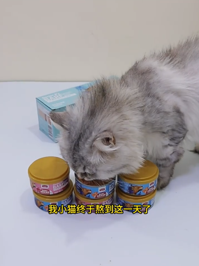 麦富迪猫咪零食罐/妙鲜包