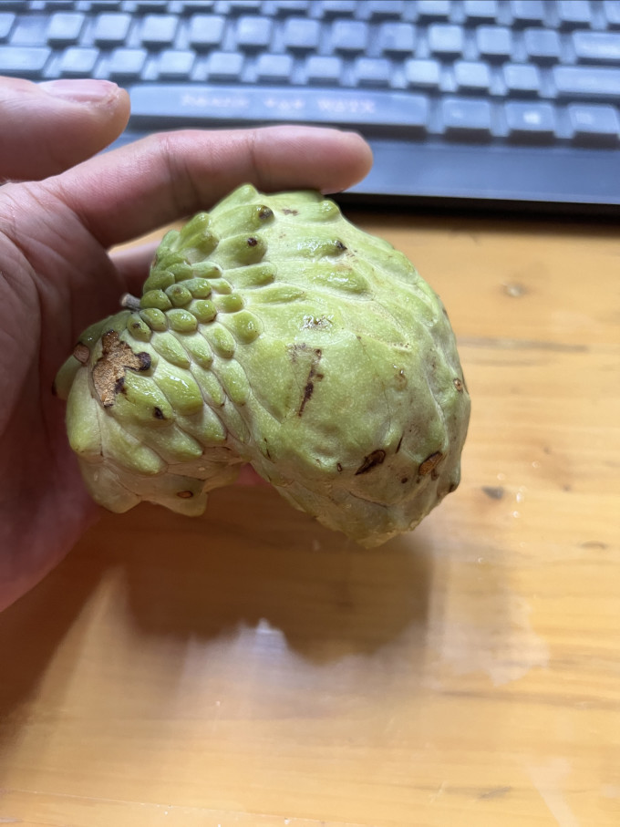 鲜福林其他水果