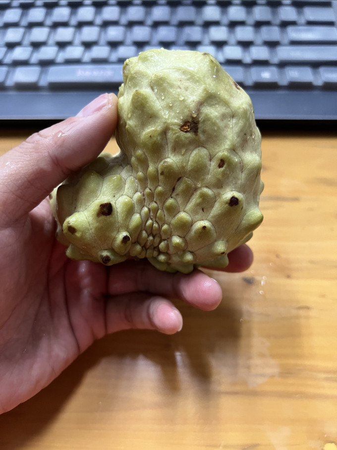 鲜福林其他水果