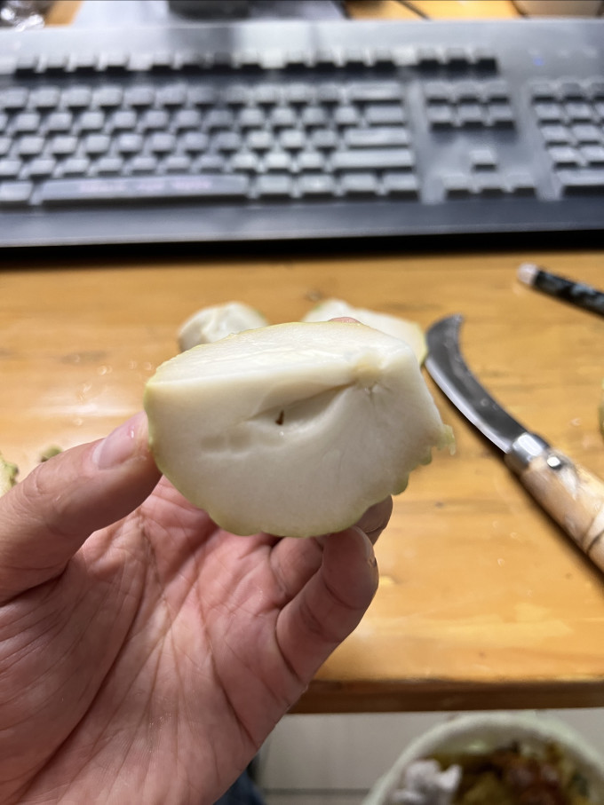 鲜福林其他水果