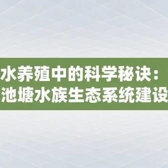 雨水养殖中的科学秘诀：关于池塘水族生态系统建设与提升的管理实践指南
