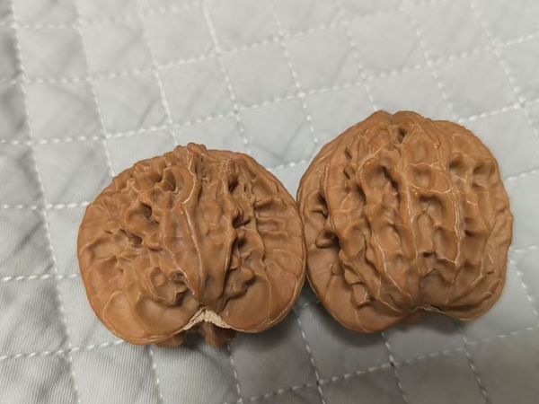 文玩核桃：小众收藏的魅力