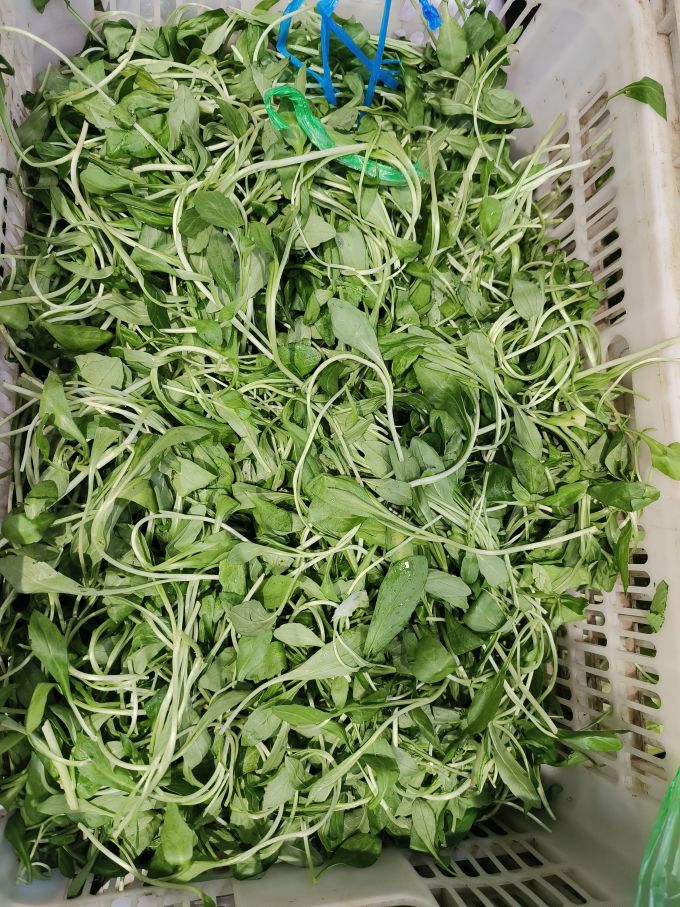 飞益森蔬菜