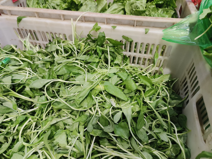 飞益森蔬菜