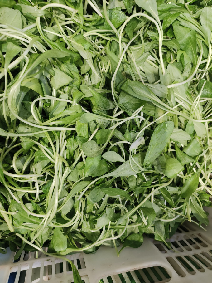 飞益森蔬菜