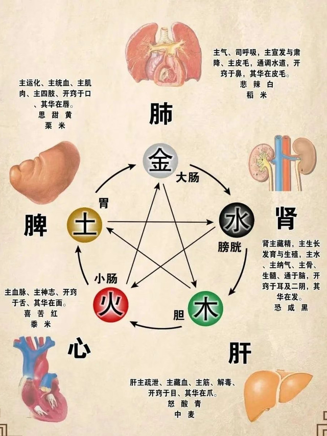 万物苏醒，练练「八段锦」补元气