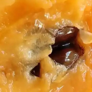 又到了吃枇杷的季节！黄金果实的千年密语