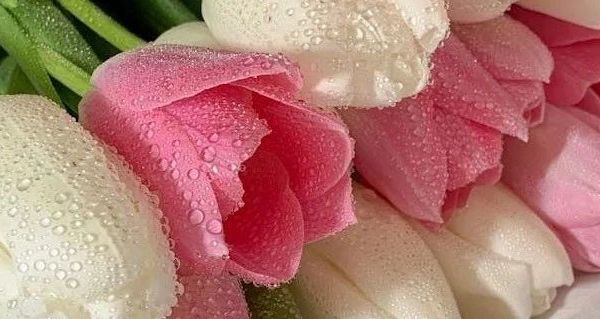 宝宝辅食剪刀怎么选？多维度对比助你挑