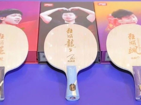 业余横板选手闭眼入的“三大品牌，八大横板”