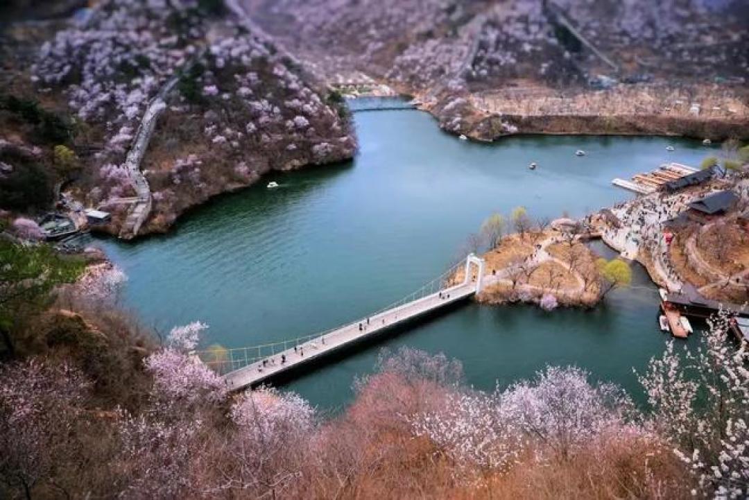 春日徒步指南：北京周边10条精选线路推荐