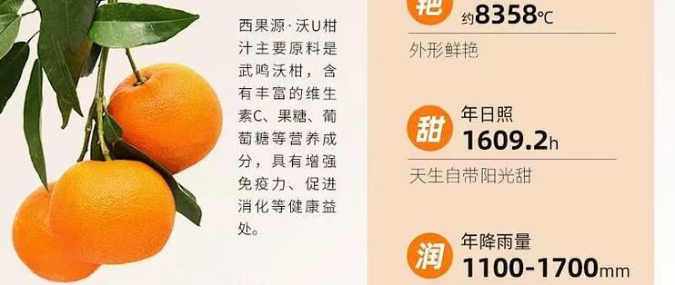 西果源沃柑汁：自然馈赠的美味礼盒