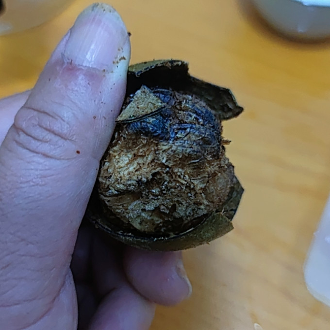 陈一凡花果茶