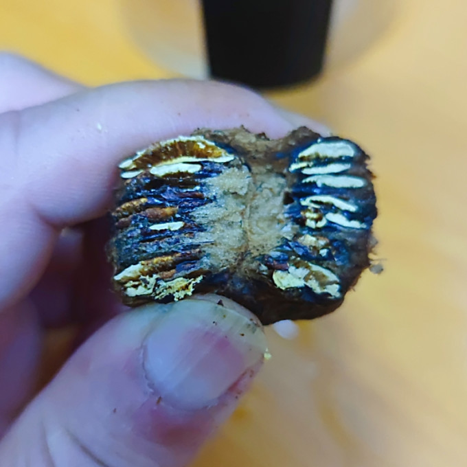 陈一凡花果茶