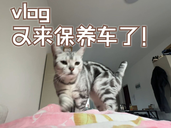 [我的生活VLOG]利用周末休息时间，又来保养车了！