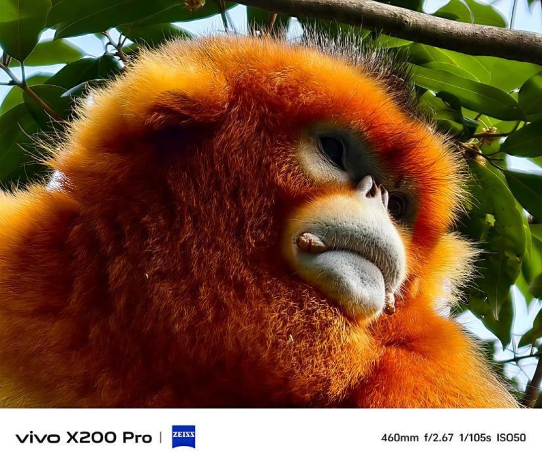 双芯灭霸登场!vivo X200 Ultra全焦段影像如何改写行业规则?