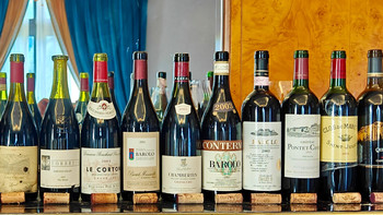 酒友会客厅：2003年份红葡萄酒名家品鉴记录 