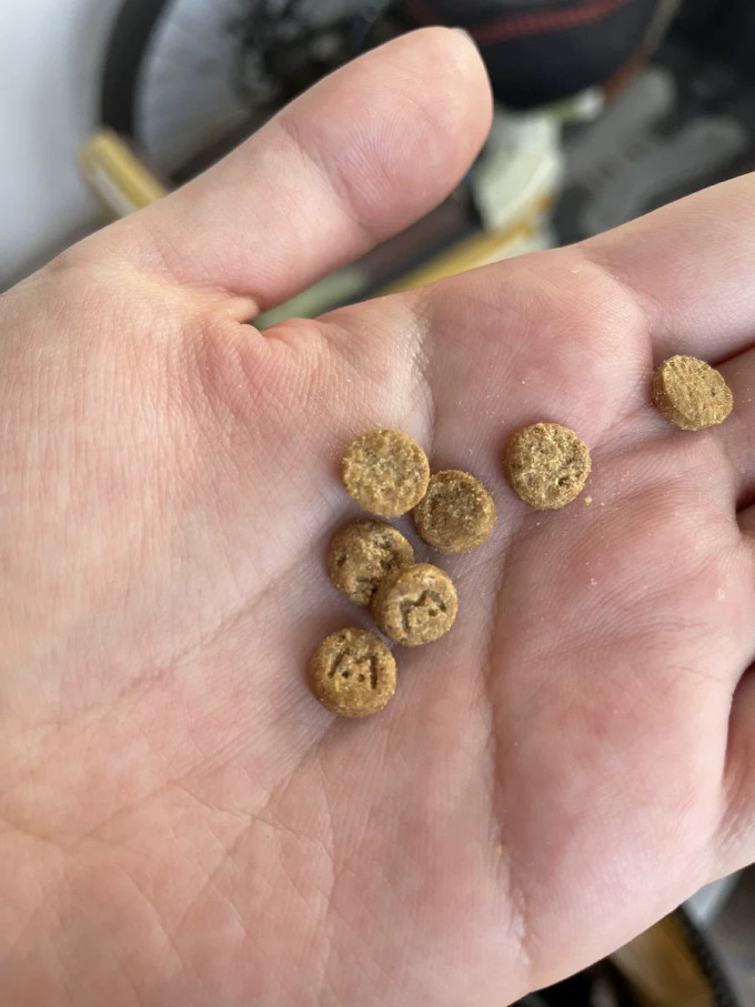 麦富迪猫咪干粮