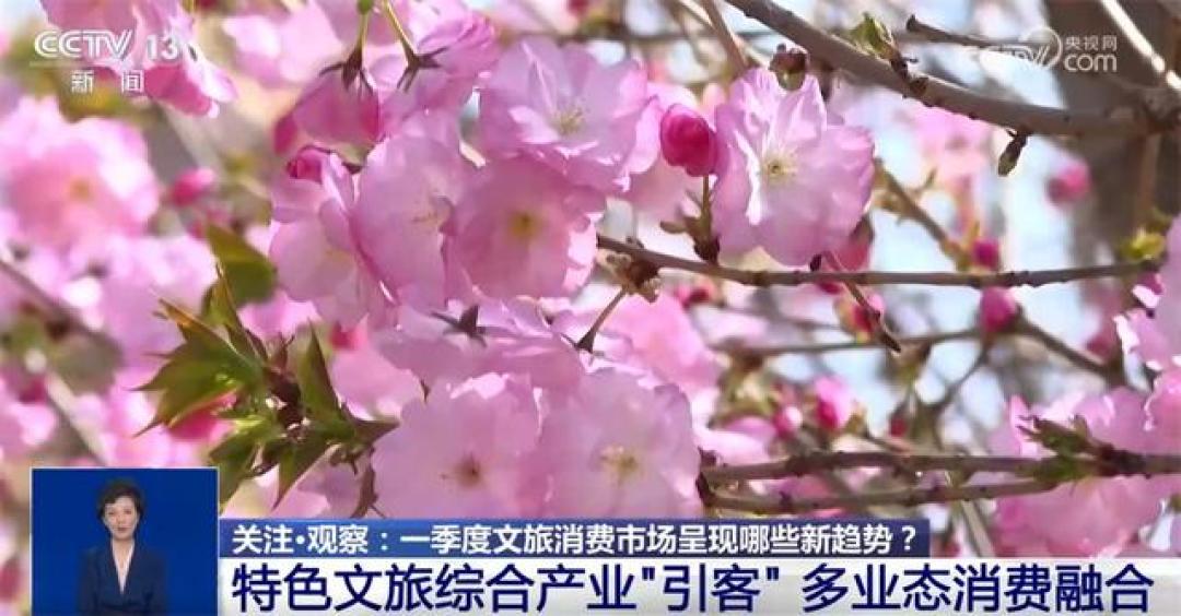 沉浸式体验+多业态融合！一季度文旅消费交出亮眼成绩单