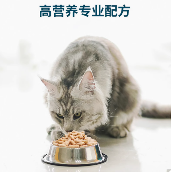 鲜朗冻干生骨肉试吃装：猫咪的美味新宠