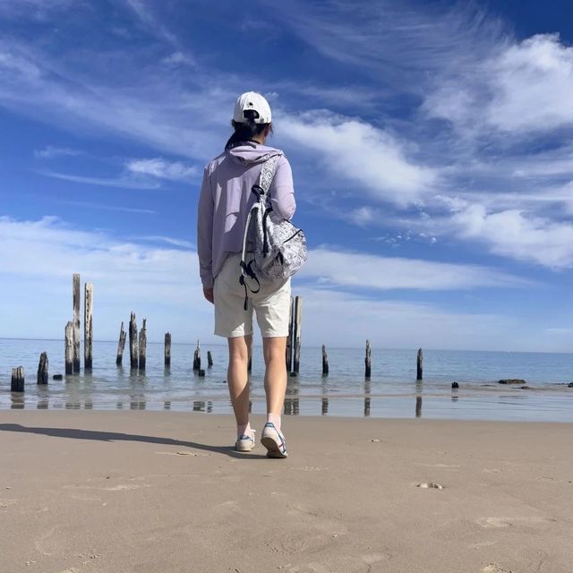 行家故事会丨我的南澳九天奇幻之旅
