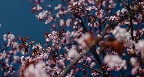 2025年春季童装市场观察：哪吒主题卫衣设计解析与亲子穿搭实践