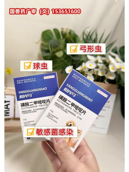 毛孩家长必看！宠物球虫&弓形虫防护指南