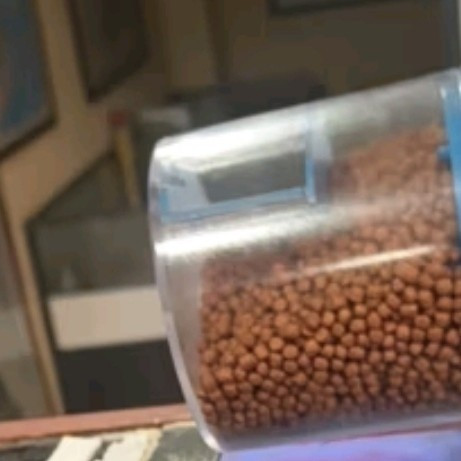 清明“出逃”，家里鱼咋办？自动喂料器来救场