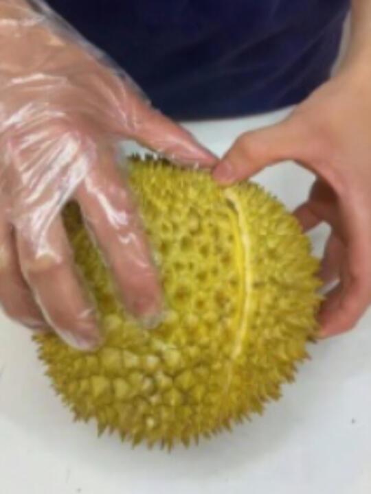 开榴莲就是开人品，这个榴莲盲盒一看就是来报恩的，看样子我人品很好！哈哈哈哈哈#开榴莲 #开榴莲就像赌人品 #榴莲 #榴莲控 #榴莲自由 #榴莲爱好者 #榴莲盲盒 #报恩榴莲 #榴莲可以当饭吃 #拆榴莲