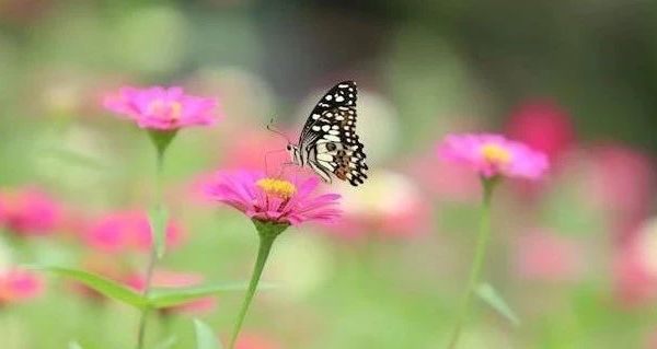 啄木鸟TUCANO三合一冲锋衣测评：秋冬户外场景下的功能与设计平衡