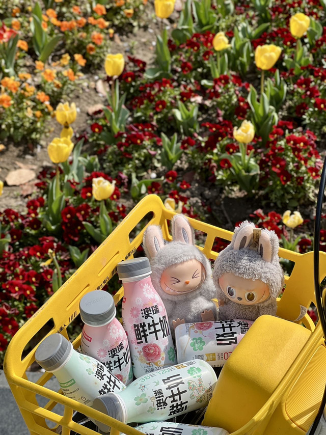 一鸣果然是浙江之光，春日出游好物！