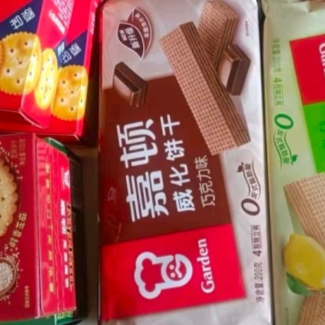 嘉顿（Garden）家庭什锦饼干礼盒1380g年货送礼曲奇饼节日送礼