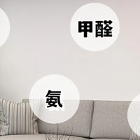 新家除甲醛必备好物