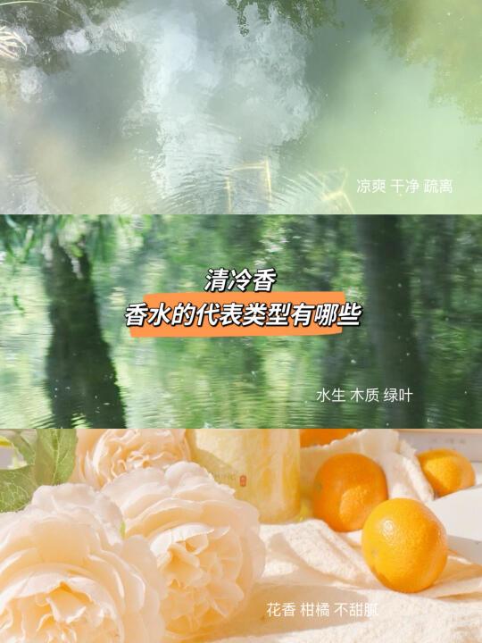 清冷香——爱用香水推荐指南