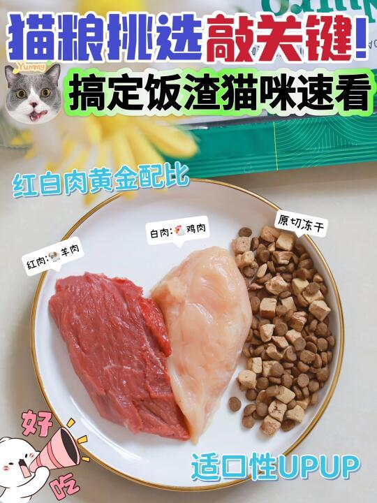 冻干粮Or纯主粮？瞧挑食怪爆改干饭王！