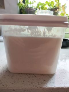 凝酪酸奶，你试过吗？