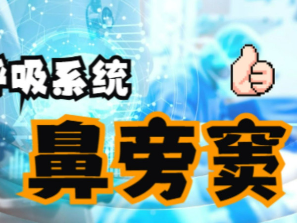 [微课视频]呼吸系统-肺外呼吸道-鼻旁窦